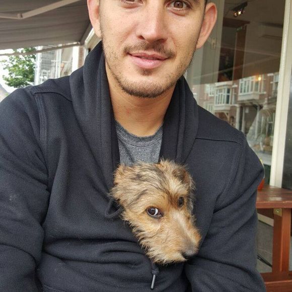 Meet your Posher, Miguel - Picture 1 of 1